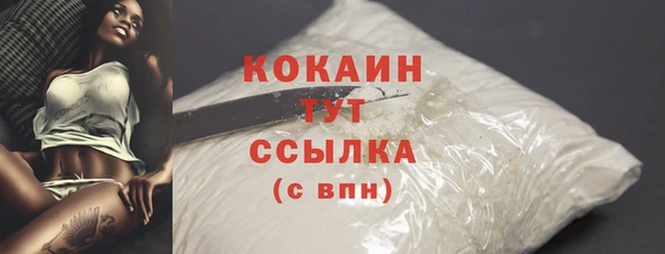 крисы Аркадак