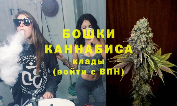крисы Аркадак